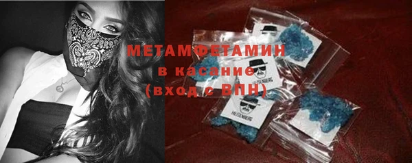шишки Инсар