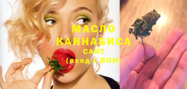 шишки Инсар