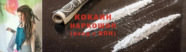 шишки Инсар