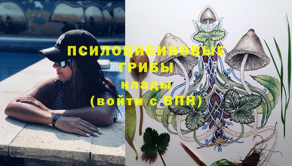 шишки Инсар