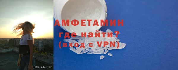 шишки Инсар