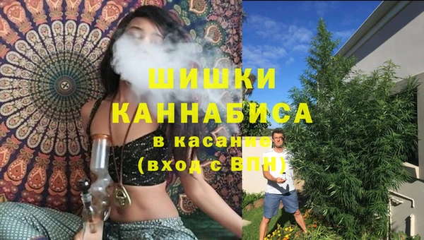 ГАЛЛЮЦИНОГЕННЫЕ ГРИБЫ Инта